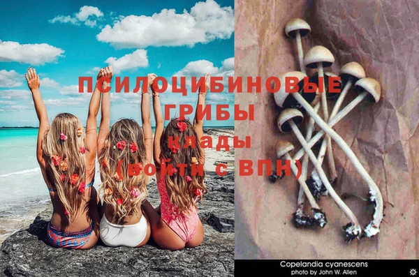 Альфа ПВП Алзамай