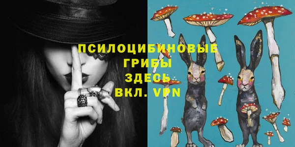 прущие грибы Алексин